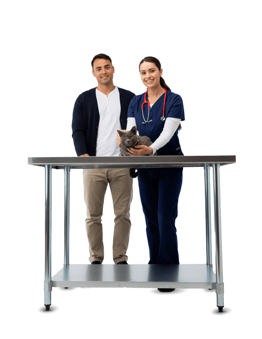 Veterinaria con gato gris