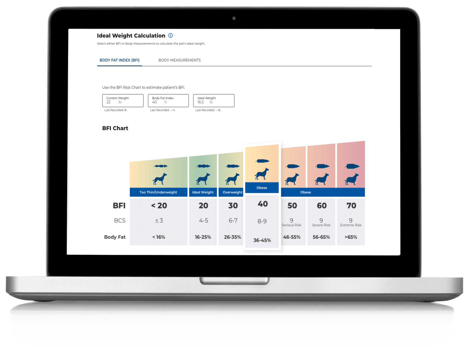 Calculadora de peso ideal