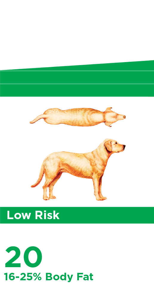 Índice de grasa corporal bajo