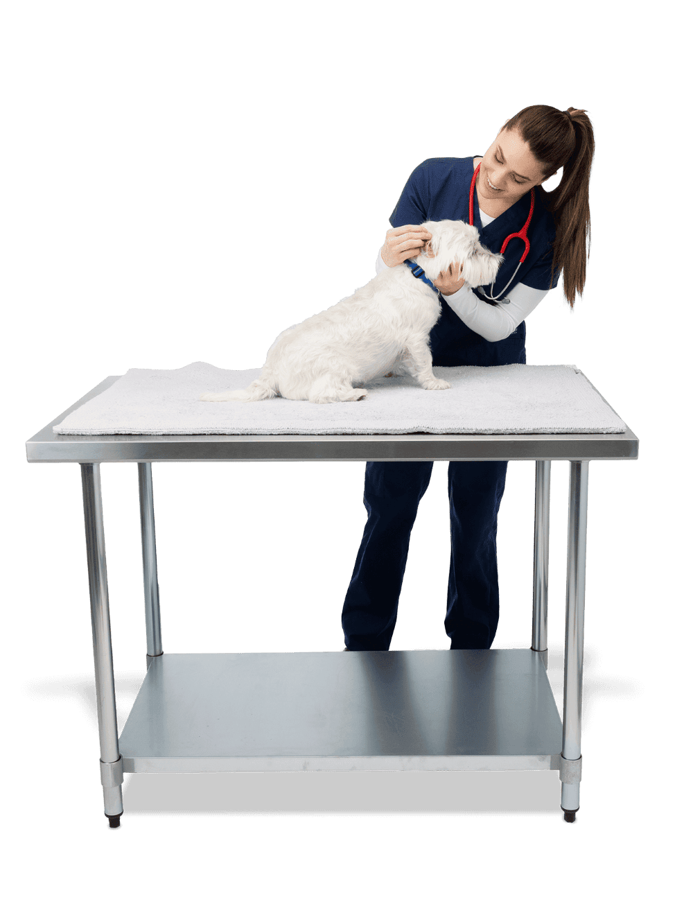 Veterinaria examinando a un perro blanco sobre la mesa de examen en acero